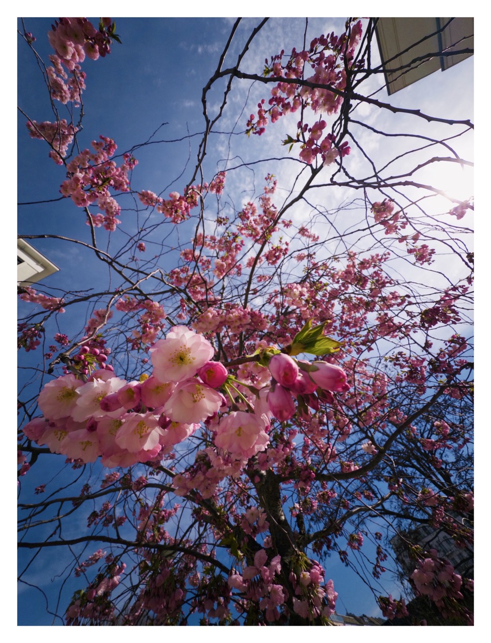 App Example 2